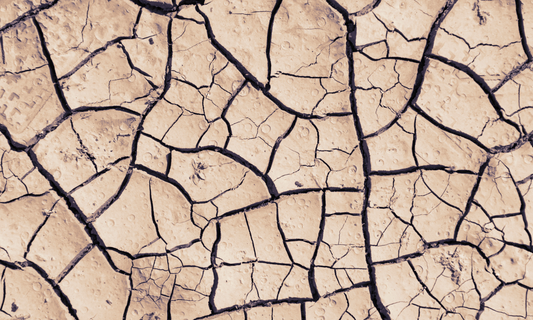 Ne pas boire assez d’eau : risques, symptômes et solutions